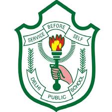 DPS Ranchi Company logo